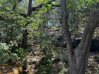 Private 52.6-Acre Texas Ranch with Home, Creek, & Stunning Views - image 34