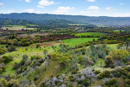 🏡 3050 Highway 16, Rumsey, CA – Historic Estate with Water Rights & Agricultural Lan - image 6
