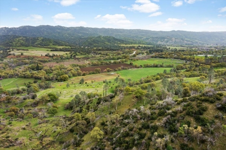 🏡 3050 Highway 16, Rumsey, CA – Historic Estate with Water Rights & Agricultural Lan - image 17