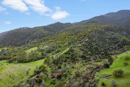 🏡 3050 Highway 16, Rumsey, CA – Historic Estate with Water Rights & Agricultural Lan - image 4