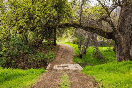 🏡 3050 Highway 16, Rumsey, CA – Historic Estate with Water Rights & Agricultural Lan - image 21