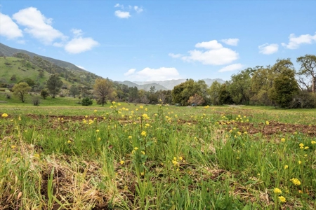 🏡 3050 Highway 16, Rumsey, CA – Historic Estate with Water Rights & Agricultural Lan - image 16