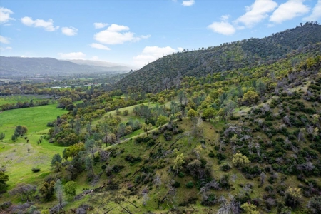 🏡 3050 Highway 16, Rumsey, CA – Historic Estate with Water Rights & Agricultural Lan - image 5