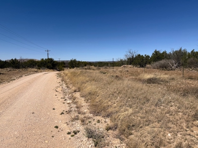 Texas Hunting Ranch near San Angelo and Midland in Coke County - image 8
