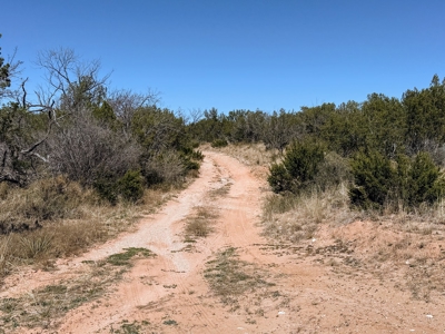 Texas Hunting Ranch near San Angelo and Midland in Coke County - image 2