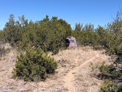 Texas Hunting Ranch near San Angelo and Midland in Coke County - image 9