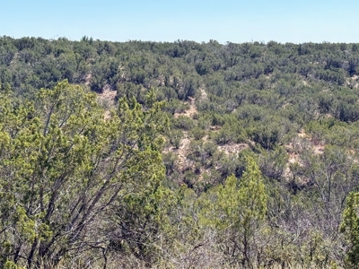 Texas Hunting Ranch near San Angelo and Midland in Coke County - image 6