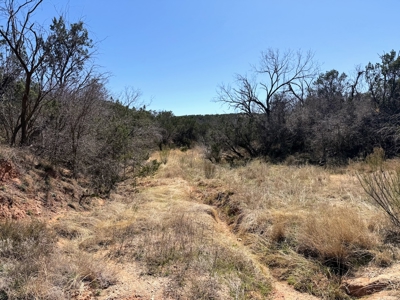 Texas Hunting Ranch near San Angelo and Midland in Coke County - image 1