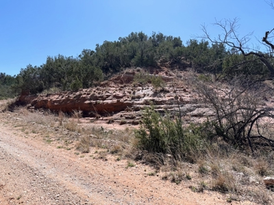Texas Hunting Ranch near San Angelo and Midland in Coke County - image 5