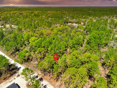 Beautiful Residential Lot in Dunnellon, FL for Sale – No HOA in Premier Subdivision! - image 1