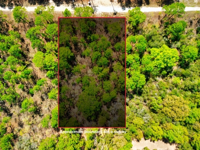 Beautiful Residential Lot in Dunnellon, FL for Sale – No HOA in Premier Subdivision! - image 6