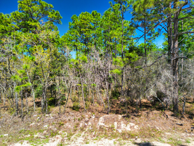 Beautiful Residential Lot in Dunnellon, FL for Sale – No HOA in Premier Subdivision! - image 8