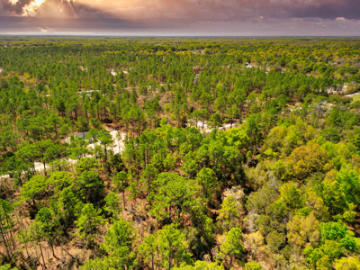 Beautiful Residential Lot in Dunnellon, FL for Sale – No HOA in Premier Subdivision! - image 3