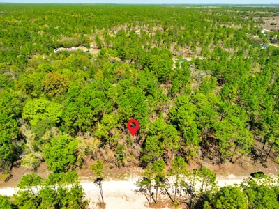 Beautiful Residential Lot in Dunnellon, FL for Sale – No HOA in Premier Subdivision! - image 9