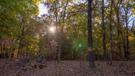 Lot 1 in Subdivision in Gated Community with Airstrip on Bull Shoals Lake Peninsula - image 5