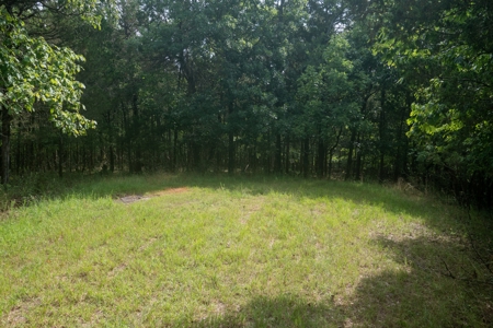 Lot 1 in Subdivision in Gated Community with Airstrip on Bull Shoals Lake Peninsula - image 35