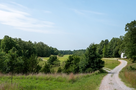 Lot 1 in Subdivision in Gated Community with Airstrip on Bull Shoals Lake Peninsula - image 37