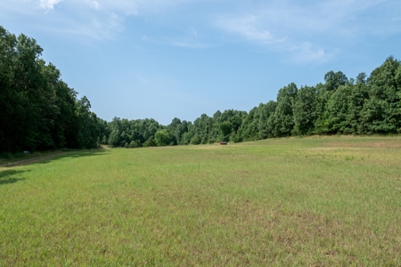 Lot 1 in Subdivision in Gated Community with Airstrip on Bull Shoals Lake Peninsula - image 39