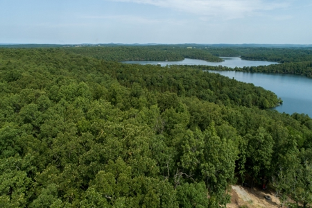 Lot 1 in Subdivision in Gated Community with Airstrip on Bull Shoals Lake Peninsula - image 25