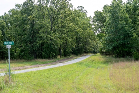 Lot 1 in Subdivision in Gated Community with Airstrip on Bull Shoals Lake Peninsula - image 38