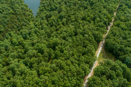 Lot 1 in Subdivision in Gated Community with Airstrip on Bull Shoals Lake Peninsula - image 23