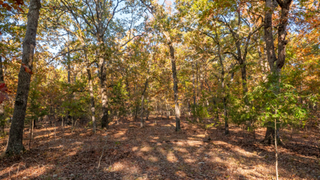 Lot 1 in Subdivision in Gated Community with Airstrip on Bull Shoals Lake Peninsula - image 11