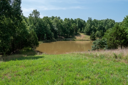 Lot 1 in Subdivision in Gated Community with Airstrip on Bull Shoals Lake Peninsula - image 42