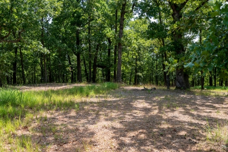 Lot 1 in Subdivision in Gated Community with Airstrip on Bull Shoals Lake Peninsula - image 45