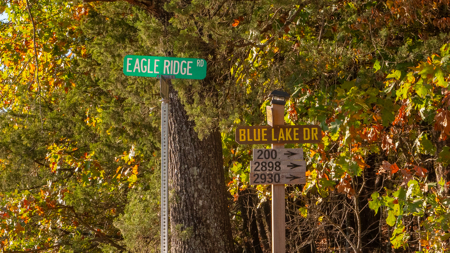 Lot 1 in Subdivision in Gated Community with Airstrip on Bull Shoals Lake Peninsula - image 2