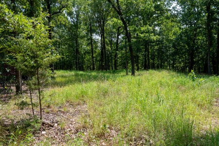 Lot 1 in Subdivision in Gated Community with Airstrip on Bull Shoals Lake Peninsula - image 43
