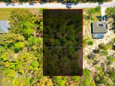 Residential Lot in Marion County, FL for Sale - No HOA in Rolling Hills Subdivision! - image 4