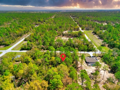 Residential Lot in Marion County, FL for Sale - No HOA in Rolling Hills Subdivision! - image 2