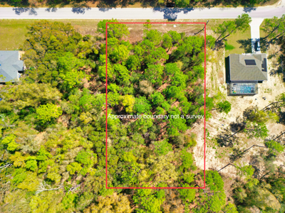Residential Lot in Marion County, FL for Sale - No HOA in Rolling Hills Subdivision! - image 5