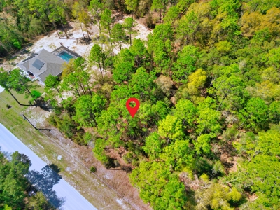 Residential Lot in Marion County, FL for Sale - No HOA in Rolling Hills Subdivision! - image 3