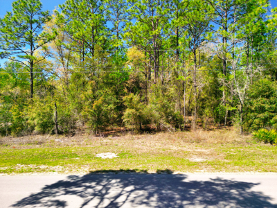 Residential Lot in Marion County, FL for Sale - No HOA in Rolling Hills Subdivision! - image 9