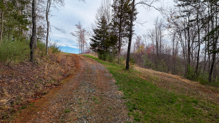 15 Acres Of Land  Located In Patrick County, Va - image 22