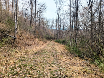 15 Acres Of Land  Located In Patrick County, Va - image 4