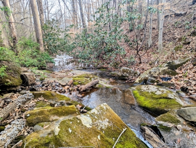 15 Acres Of Land  Located In Patrick County, Va - image 8