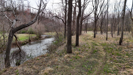 15 Acres Of Land  Located In Patrick County, Va - image 2