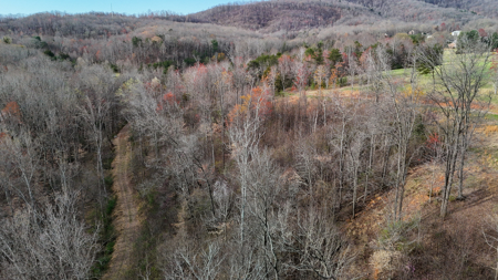 15 Acres Of Land  Located In Patrick County, Va - image 10