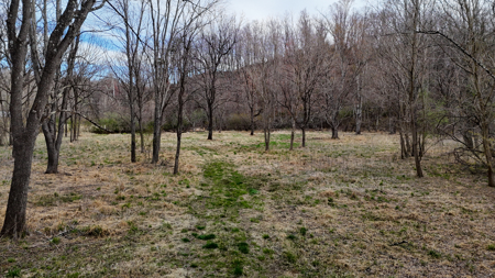 15 Acres Of Land  Located In Patrick County, Va - image 25