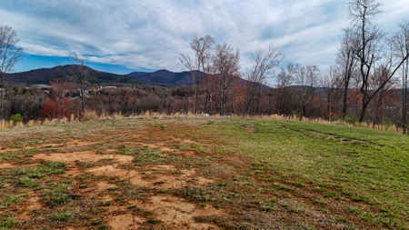 15 Acres Of Land  Located In Patrick County, Va - image 5