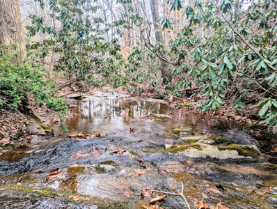 15 Acres Of Land  Located In Patrick County, Va - image 15