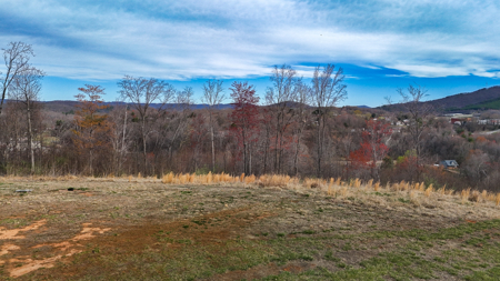 15 Acres Of Land  Located In Patrick County, Va - image 9