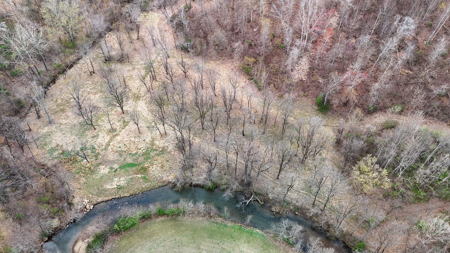 15 Acres Of Land  Located In Patrick County, Va - image 13