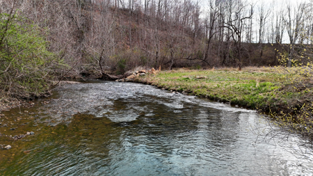 15 Acres Of Land  Located In Patrick County, Va - image 16