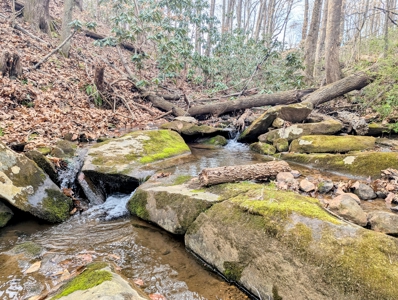 15 Acres Of Land  Located In Patrick County, Va - image 7