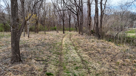 15 Acres Of Land  Located In Patrick County, Va - image 6