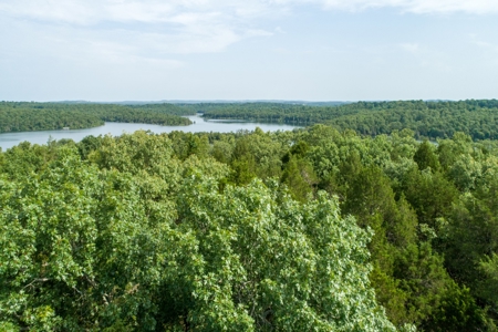 Lot 6 in Subdivision in Gated Community with Airstrip on Bull Shoals Lake Peninsula - image 8