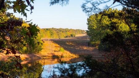 Lot 6 in Subdivision in Gated Community with Airstrip on Bull Shoals Lake Peninsula - image 2